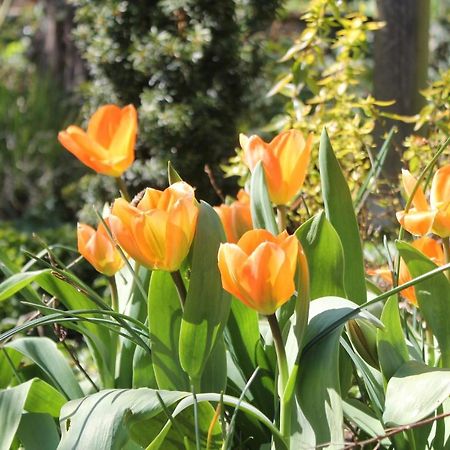Maison Mille Fleurs Sankt Julian المظهر الخارجي الصورة