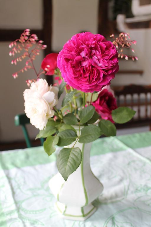 Maison Mille Fleurs Sankt Julian المظهر الخارجي الصورة